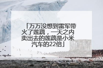 万万没想到雷军带火了莲藕，一天之内卖出去的莲藕是小米汽车的22倍