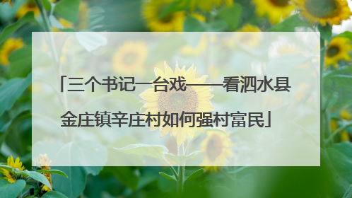 三个书记一台戏——看泗水县金庄镇辛庄村如何强村富民
