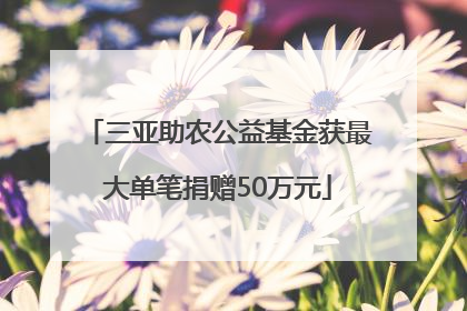 三亚助农公益基金获最大单笔捐赠50万元