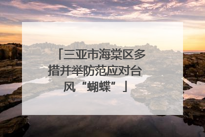 三亚市海棠区多措并举防范应对台风“蝴蝶”