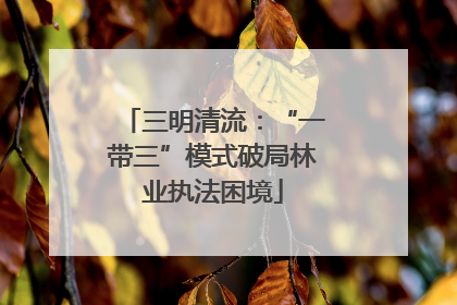 三明清流：“一带三”模式破局林业执法困境