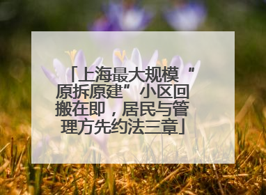 上海最大规模“原拆原建”小区回搬在即，居民与管理方先约法三章