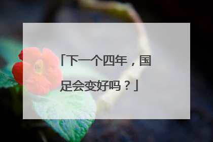 下一个四年，国足会变好吗？
