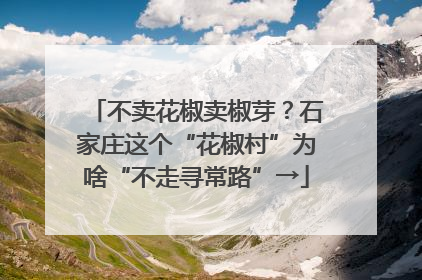 不卖花椒卖椒芽？石家庄这个“花椒村”为啥“不走寻常路”→