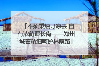 不须秉烛寻凉去 自有浓荫覆长街——郑州城管精细呵护林荫路