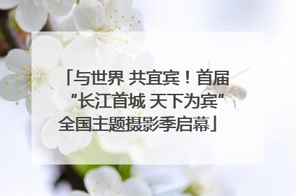 与世界 共宜宾！首届“长江首城 天下为宾”全国主题摄影季启幕