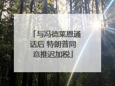 与冯德莱恩通话后 特朗普同意推迟加税