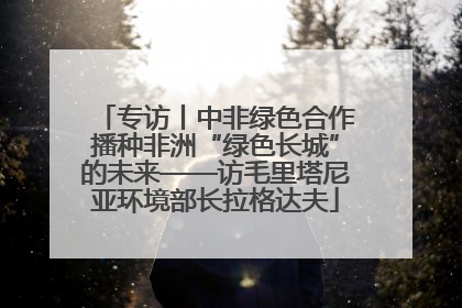 专访丨中非绿色合作播种非洲“绿色长城”的未来——访毛里塔尼亚环境部长拉格达夫