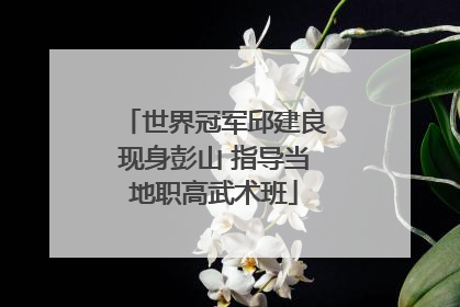 世界冠军邱建良现身彭山 指导当地职高武术班