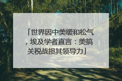 世界因中美缓和松气，埃及学者直言：美搞关税战损其领导力