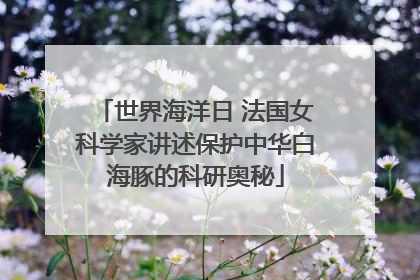 世界海洋日 法国女科学家讲述保护中华白海豚的科研奥秘