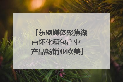 东盟媒体聚焦湖南怀化箱包产业 产品畅销亚欧美