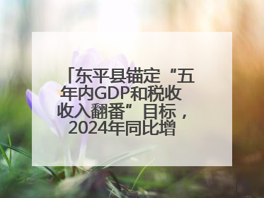 东平县锚定“五年内GDP和税收收入翻番”目标，2024年同比增长5.8%