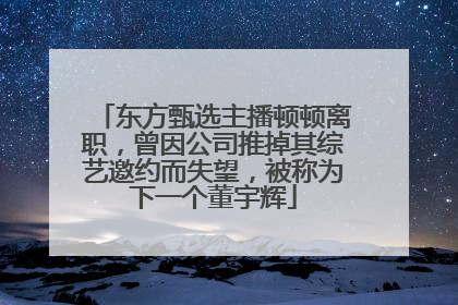 东方甄选主播顿顿离职，曾因公司推掉其综艺邀约而失望，被称为下一个董宇辉