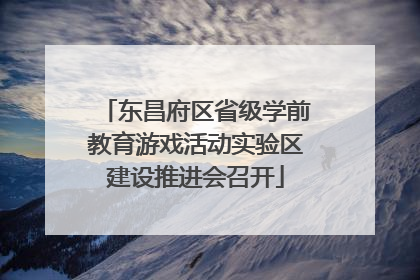 东昌府区省级学前教育游戏活动实验区建设推进会召开