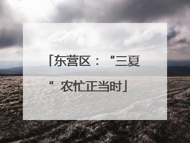 东营区:“三夏”农忙正当时