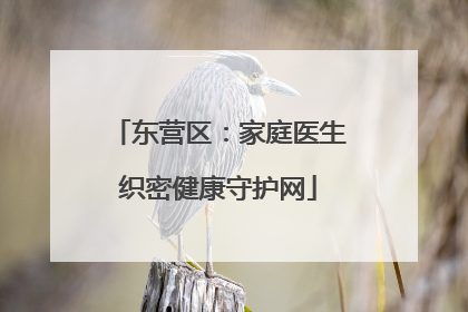 东营区：家庭医生织密健康守护网