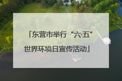 东营市举行“六·五”世界环境日宣传活动
