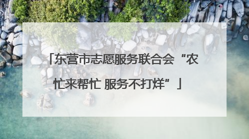 东营市志愿服务联合会“农忙来帮忙 服务不打烊”
