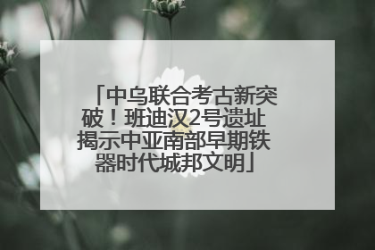 中乌联合考古新突破！班迪汉2号遗址揭示中亚南部早期铁器时代城邦文明