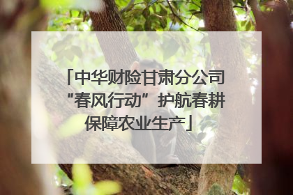 中华财险甘肃分公司“春风行动”护航春耕 保障农业生产