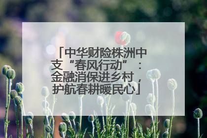 中华财险株洲中支“春风行动”：金融消保进乡村，护航春耕暖民心
