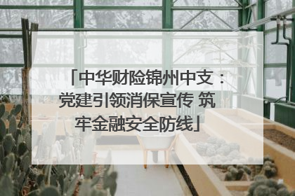 中华财险锦州中支：党建引领消保宣传 筑牢金融安全防线