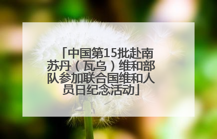 中国第15批赴南苏丹（瓦乌）维和部队参加联合国维和人员日纪念活动