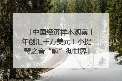 中国经济样本观察丨年创汇千万美元！小提琴之音“响”彻世界