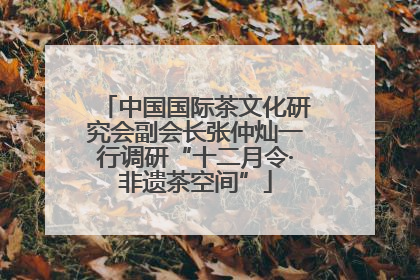 中国国际茶文化研究会副会长张仲灿一行调研“十二月令·非遗茶空间”