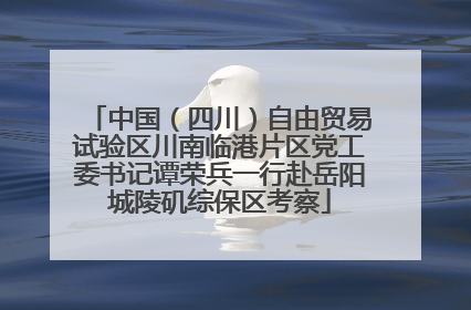 中国（四川）自由贸易试验区川南临港片区党工委书记谭荣兵一行赴岳阳城陵矶综保区考察