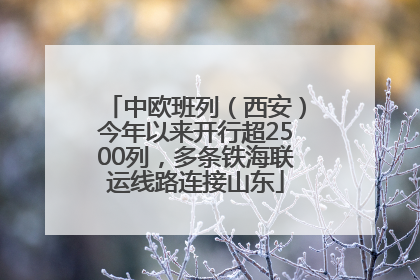 中欧班列（西安）今年以来开行超2500列，多条铁海联运线路连接山东