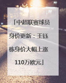 中超联赛球员身价更新：王钰栋身价大幅上涨110万欧元