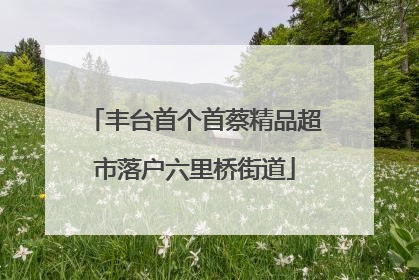 丰台首个首蔡精品超市落户六里桥街道
