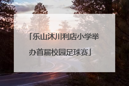 乐山沐川利店小学举办首届校园足球赛