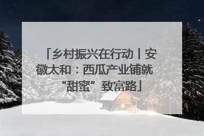 乡村振兴在行动丨安徽太和：西瓜产业铺就“甜蜜”致富路