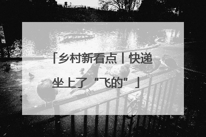 乡村新看点丨快递坐上了“飞的”