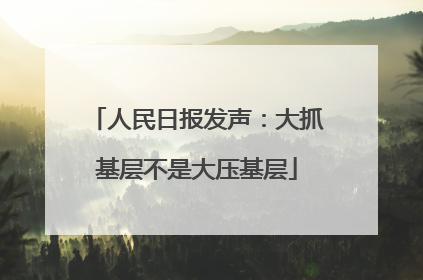 人民日报发声：大抓基层不是大压基层