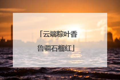 云端粽叶香 鲁疆石榴红