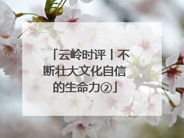 云岭时评丨不断壮大文化自信的生命力②