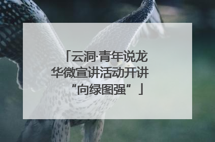 云洞·青年说龙华微宣讲活动开讲“向绿图强”