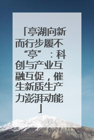 亭湖向新而行步履不“亭”：科创与产业互融互促，催生新质生产力澎湃动能