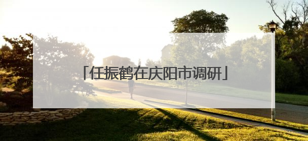 任振鹤在庆阳市调研