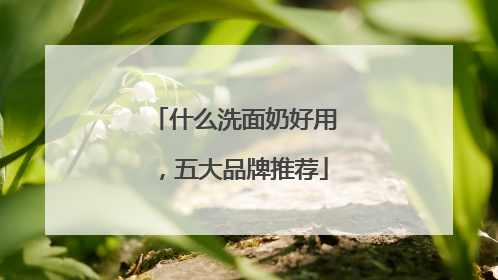 什么洗面奶好用，五大品牌推荐