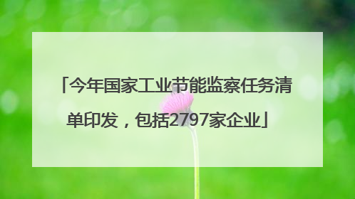 今年国家工业节能监察任务清单印发，包括2797家企业