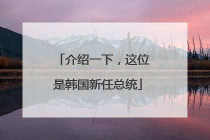 介绍一下，这位是韩国新任总统