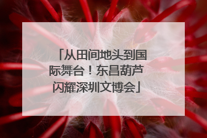 从田间地头到国际舞台！东昌葫芦闪耀深圳文博会