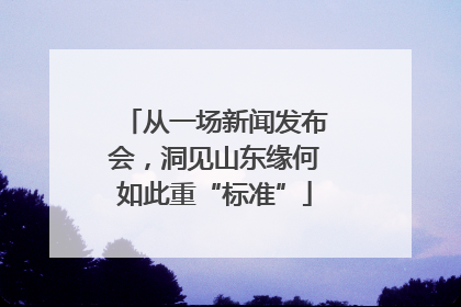 从一场新闻发布会，洞见山东缘何如此重“标准”
