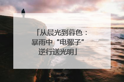 从晨光到暮色：暴雨中“电骡子”逆行送光明