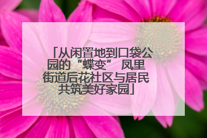 从闲置地到口袋公园的“蝶变” 凤里街道后花社区与居民共筑美好家园